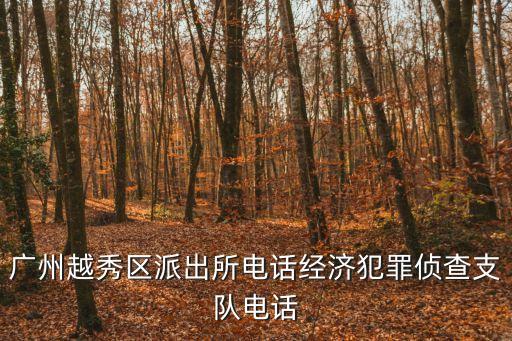 廣州經濟詐騙偵查局，廣州越秀區派出所電話經濟犯罪偵查支隊電話