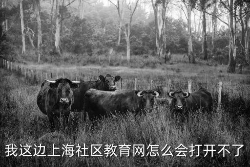 上海市中小德育工作案例評選，我這邊上海社區教育網怎么會打開不了