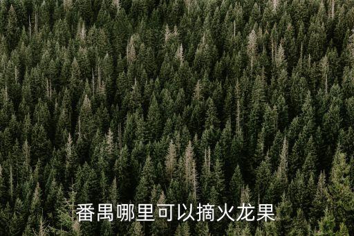 番禺哪里可以摘火龍果