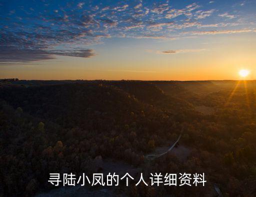 廣州高德置地陸小鳳，陸小鳳童話般的愛情