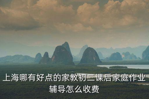 上海市基礎教育階段家庭教育，上海哪有好點的家教初二課后家庭作業輔導怎么收費