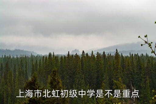 上海市北虹初級中學(xué)推優(yōu)，急在線等關(guān)于閔行區(qū)的上海中學(xué)推優(yōu)