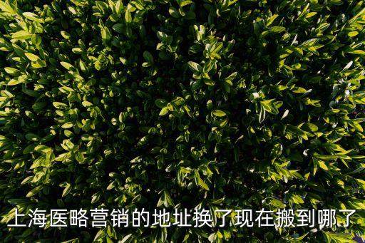 上海市淄博商會醫療行業，上海市醫療保險救助金和救業補助金辭職后有誰支付