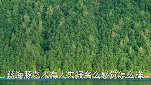 藍海豚藝術有人去報名么感覺怎么樣