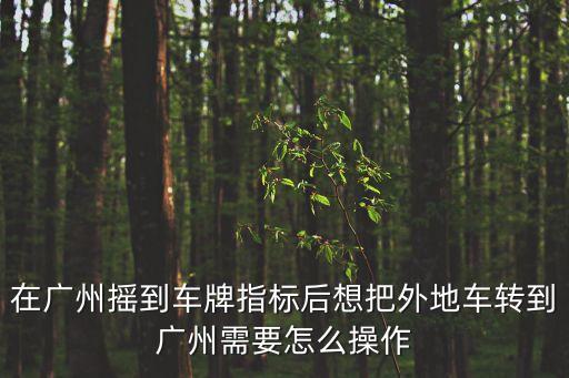 在廣州搖到車牌指標(biāo)后想把外地車轉(zhuǎn)到廣州需要怎么操作