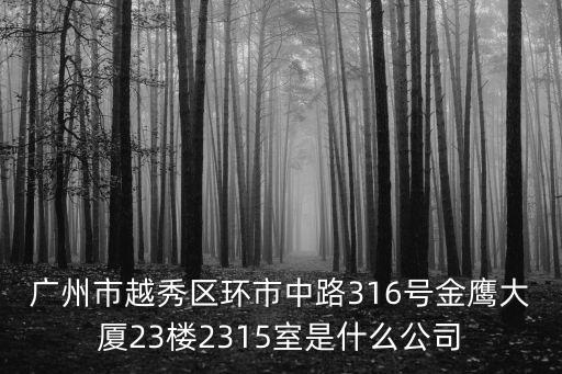 廣州市越秀區環市中路316號金鷹大廈23樓2315室是什么公司