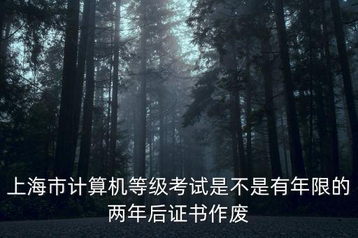 上海市計算機(jī)等級考試是不是有年限的兩年后證書作廢