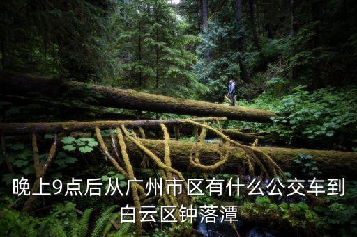 晚上9點(diǎn)后從廣州市區(qū)有什么公交車到白云區(qū)鐘落潭