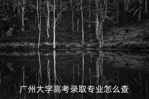 廣州大學高考錄取專業怎么查