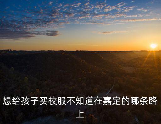 上海市嘉定區華亭鎮小學，上海市嘉定區普通小學一年的學費 急要