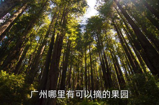 廣州番禺采摘果園，番禺哪里可以摘火龍果