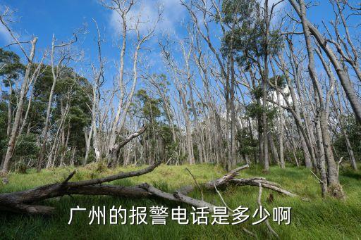 廣州的報(bào)警電話是多少啊