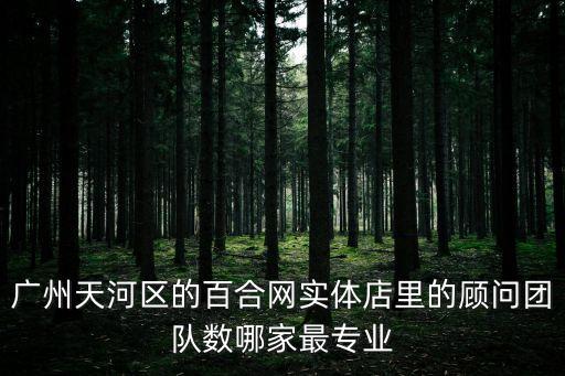 廣州天河區的百合網實體店里的顧問團隊數哪家最專業