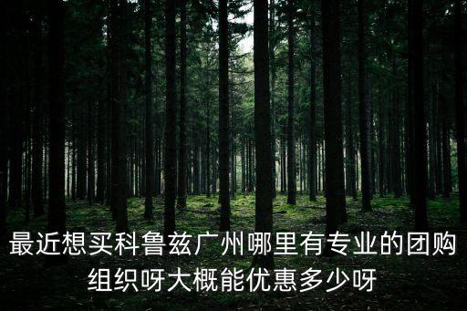 最近想買科魯茲廣州哪里有專業的團購組織呀大概能優惠多少呀