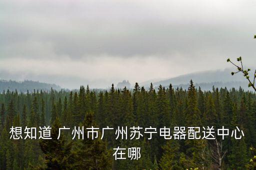 想知道 廣州市廣州蘇寧電器配送中心在哪