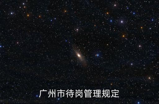 廣州市待崗管理規定