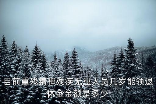 上海市2008年重殘無業金額，目前重殘精神殘疾無業人員幾歲能領退休金金額是多少
