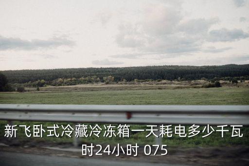 廣州新飛冷藏車，新飛臥式冷藏冷凍箱一天耗電多少千瓦時(shí)24小時(shí) 075