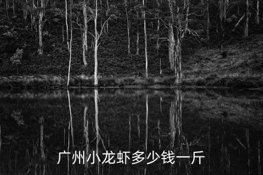 廣州小龍蝦多少錢一斤