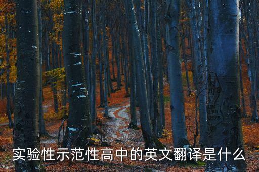 實驗性示范性高中的英文翻譯是什么