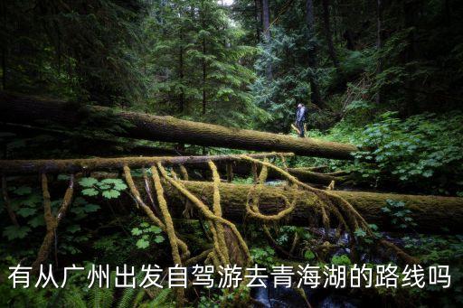 廣州到青海湖自駕路線圖，從廣州去青海最簡捷的旅游方式適合一個人的