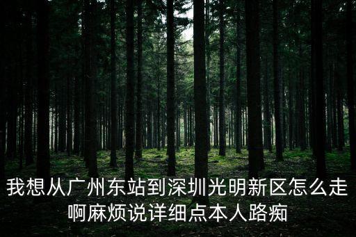 廣州東站到光明汽車站，我想從廣州東站到深圳光明新區怎么走啊麻煩說詳細點本人路癡