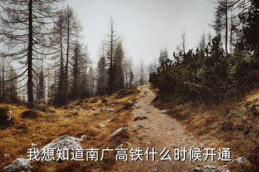 我想知道南廣高鐵什么時候開通
