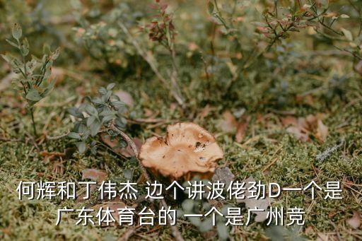 何輝和丁偉杰 邊個講波佬勁D一個是廣東體育臺的 一個是廣州競