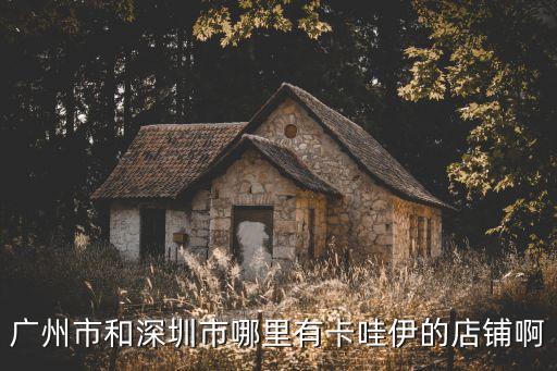廣州市和深圳市哪里有卡哇伊的店鋪啊
