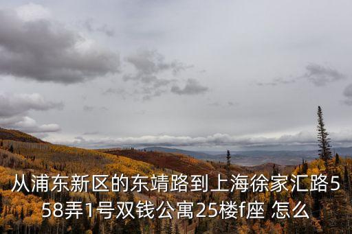 從浦東新區的東靖路到上海徐家匯路558弄1號雙錢公寓25樓f座 怎么