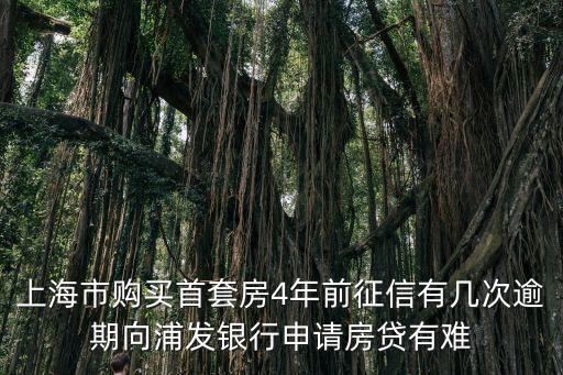 上海市房貸逾期人數2020，外地戶口在上海買房夫妻一方銀行有貸款逾期記錄有一年多怎么