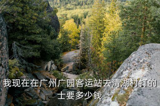 廣州白云區清湖村打架，從廣州市白云區新市街小坪村打的去清湖村蘇元莊要多少錢