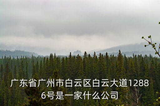 廣東省廣州市白云區白云大道12886號是一家什么公司