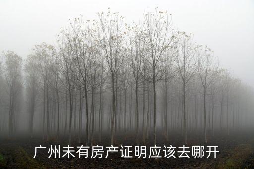 廣州個人無房證明在哪里開，廣州如何開無房證明