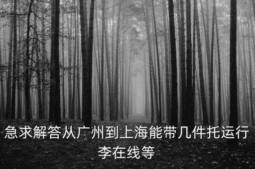 急求解答從廣州到上海能帶幾件托運行李在線等