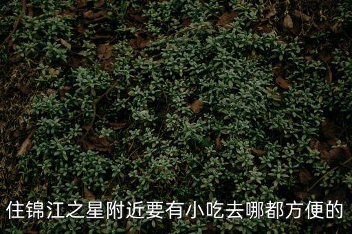 住錦江之星附近要有小吃去哪都方便的