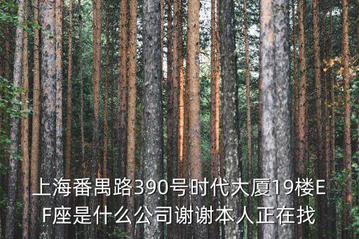 上海番禺路390號時代大廈19樓EF座是什么公司謝謝本人正在找