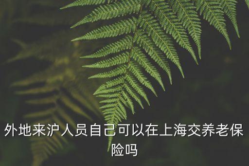 外地來滬人員自己可以在上海交養老保險嗎