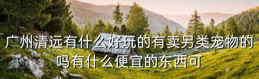 廣州清遠(yuǎn)有什么好玩的有賣另類寵物的嗎有什么便宜的東西可