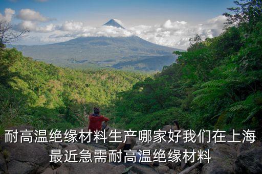上海市絕緣材料，上海 賣電動機材料絕緣紙漆包線之類的
