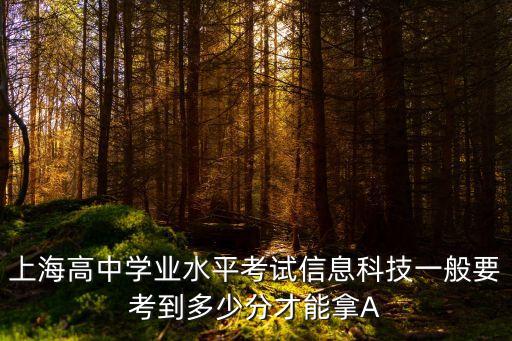 上海高中學業水平考試信息科技一般要考到多少分才能拿A