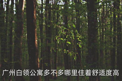 廣州白領公寓多不多哪里住著舒適度高