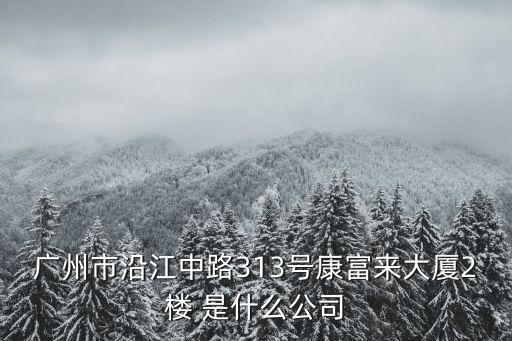 廣州市沿江中路313號康富來大廈2樓 是什么公司