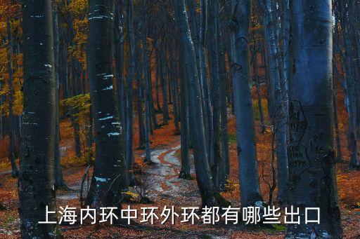 上海內環中環外環都有哪些出口