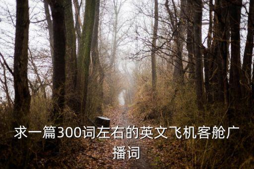 廣州的客艙廣播詞，機場廣播詞