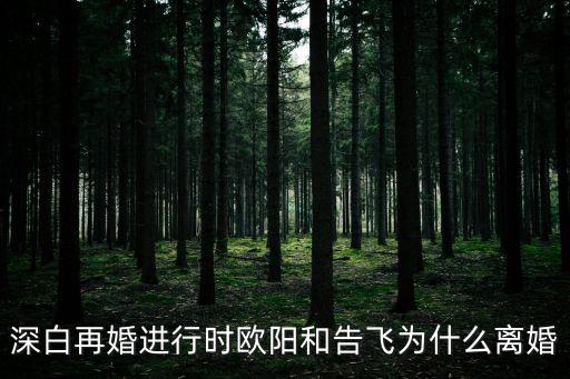 深白再婚進(jìn)行時(shí)歐陽和告飛為什么離婚