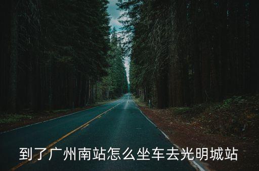 廣州南站至明明城站，到了廣州南站怎么坐車去光明城站
