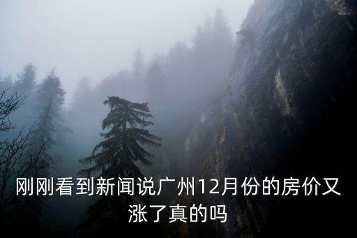 剛剛看到新聞說廣州12月份的房價又漲了真的嗎