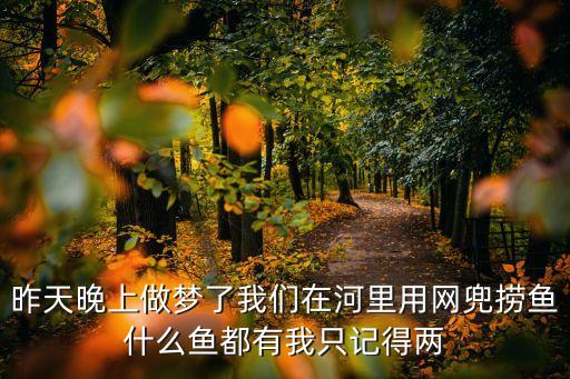 昨天晚上做夢了我們在河里用網兜撈魚什么魚都有我只記得兩