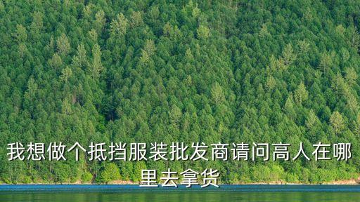 我想做個抵擋服裝批發商請問高人在哪里去拿貨